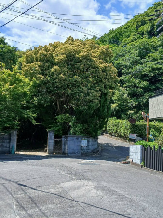 静岡市駿河区向敷地、中古一戸建ての画像です
