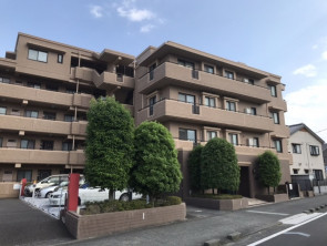 葵区新伝馬 不動産売買　葵区新伝馬 不動産　葵区新伝馬 不動産会社　葵区新伝馬 不動産仲介